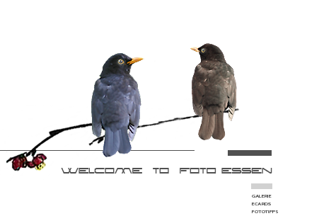  WILLKOMMEN BEI FOTO-ESSEN 